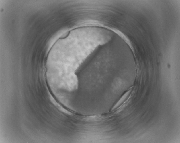 X0000079321390200612151806