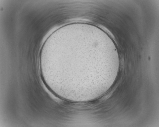 X0000079321391200612151806