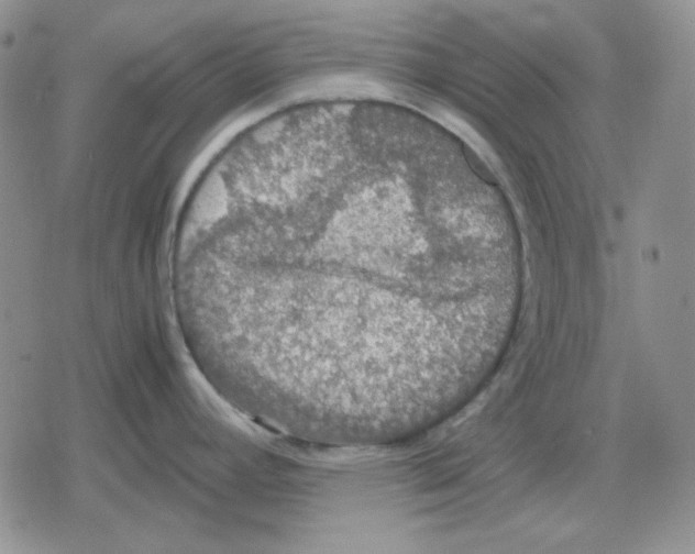 X0000079321392200612151806