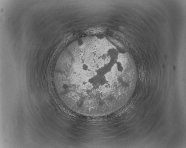 X0000079321393200612151805