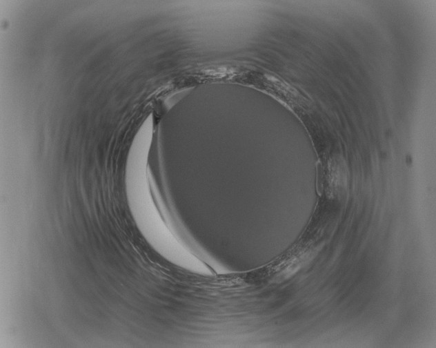 X0000079321394200612151805