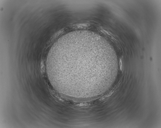 X0000079321395200612151805