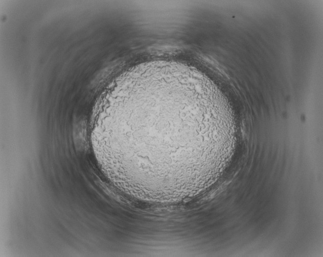 X0000079321396200612151805