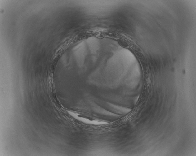 X0000079321397200612151805