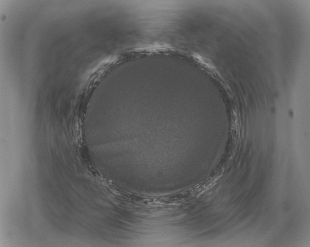 X0000079321398200612151805