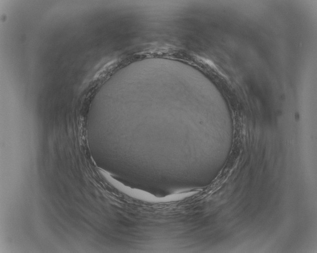 X0000079321399200612151805