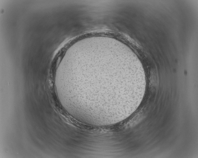 X0000079321400200612151805