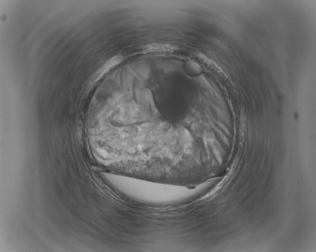 X0000079321401200612151805