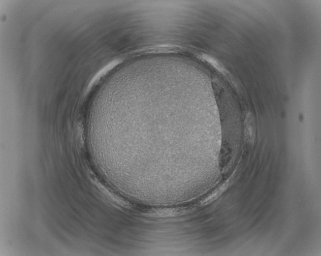 X0000079321402200612151805