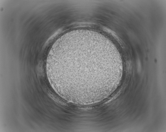 X0000079321403200612151805