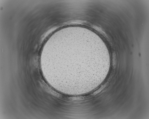 X0000079321404200612151805