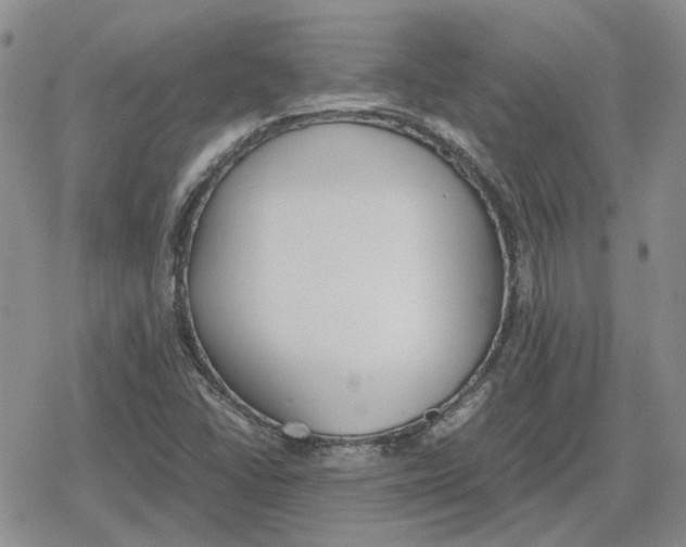 X0000079321406200612151805