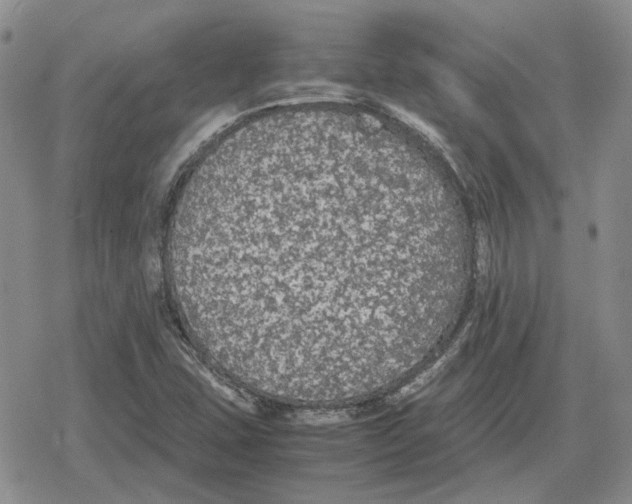 X0000079321407200612151805