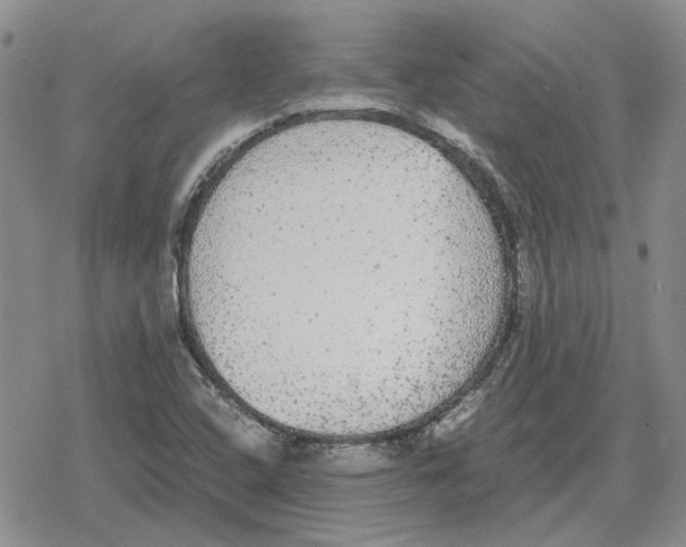 X0000079321408200612151806