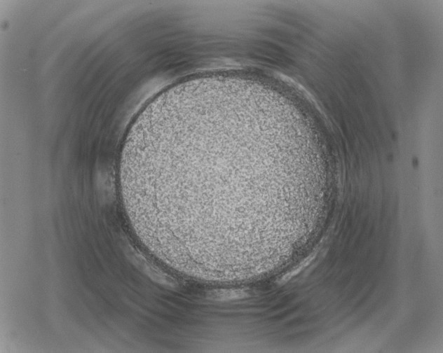 X0000079321409200612151806