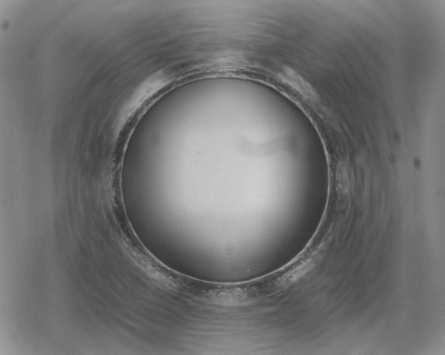 X0000079321410200612151806