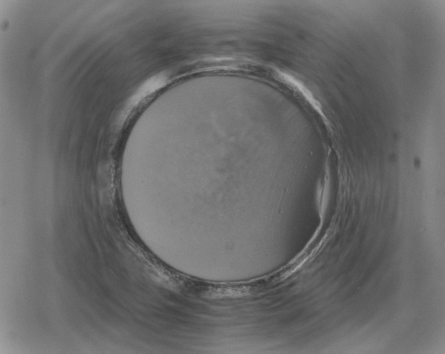 X0000079321411200612151806