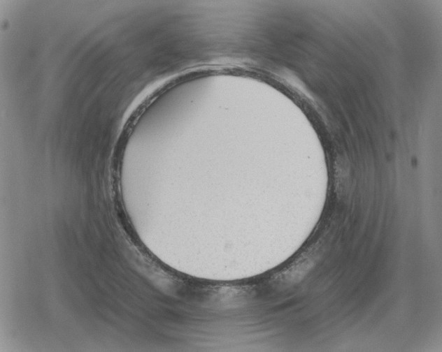 X0000079321412200612151806