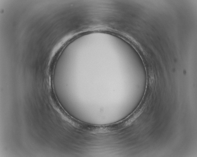 X0000079321414200612151806