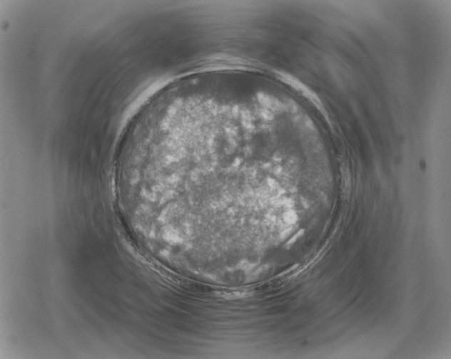 X0000079321415200612151806