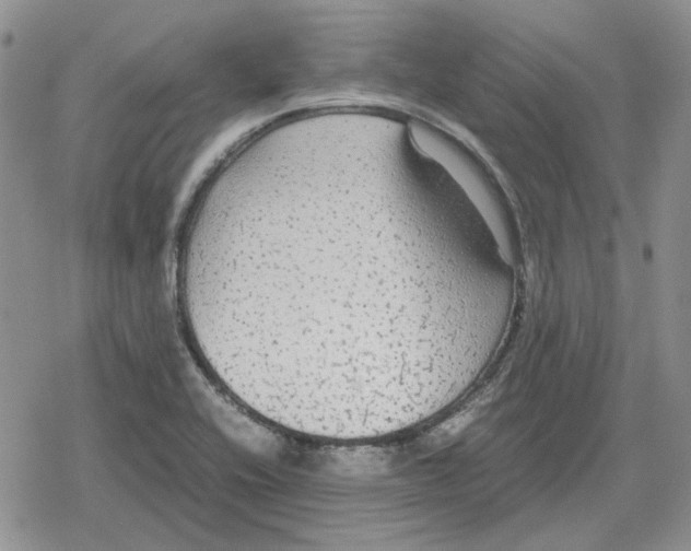 X0000079321416200612151806