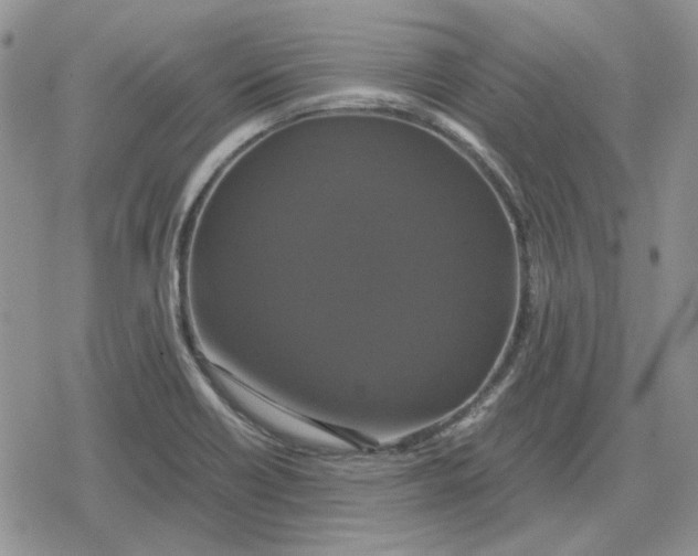 X0000079321418200612151806