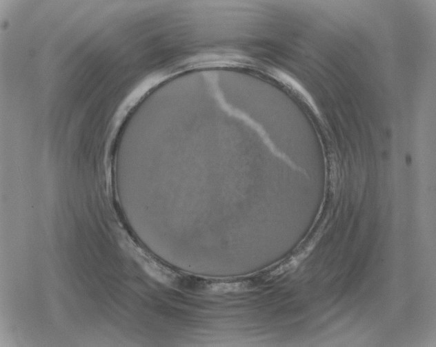 X0000079321419200612151806