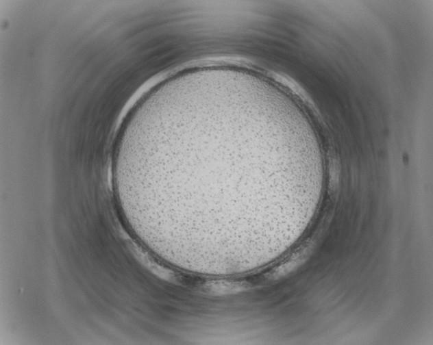 X0000079321420200612151806