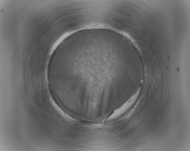 X0000079321422200612151806