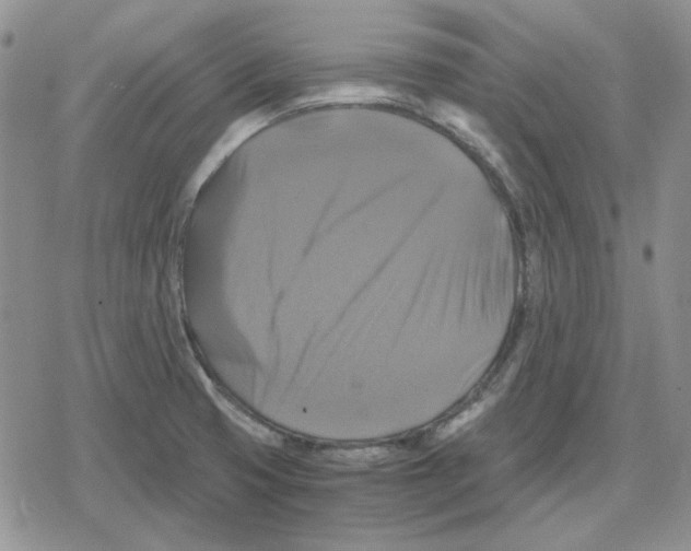 X0000079321425200612151806