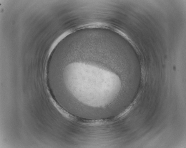 X0000079321426200612151806