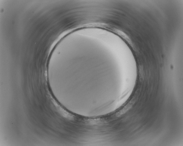 X0000079321428200612151806