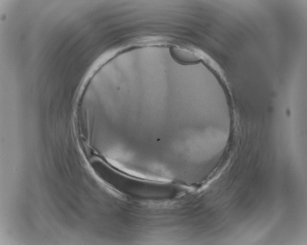 X0000079321429200612151806