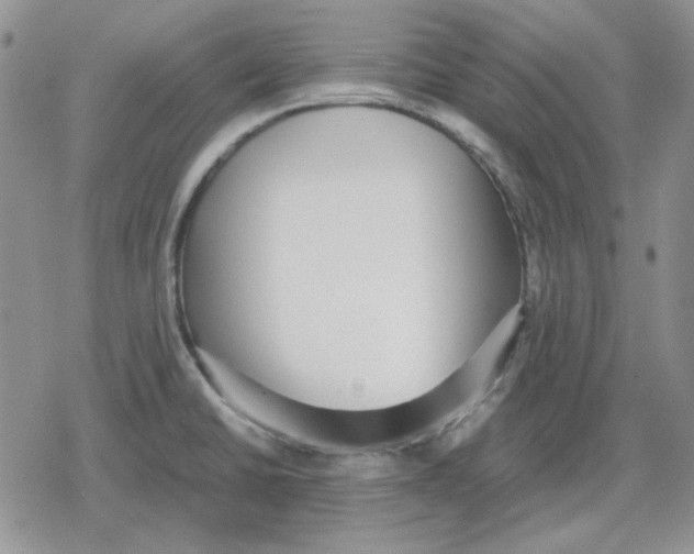 X0000079321430200612151806