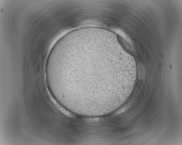 X0000079321431200612151806