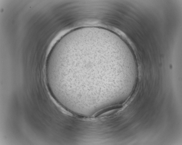 X0000079321432200612151806