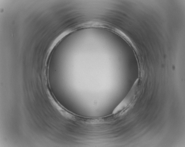 X0000079321434200612151806