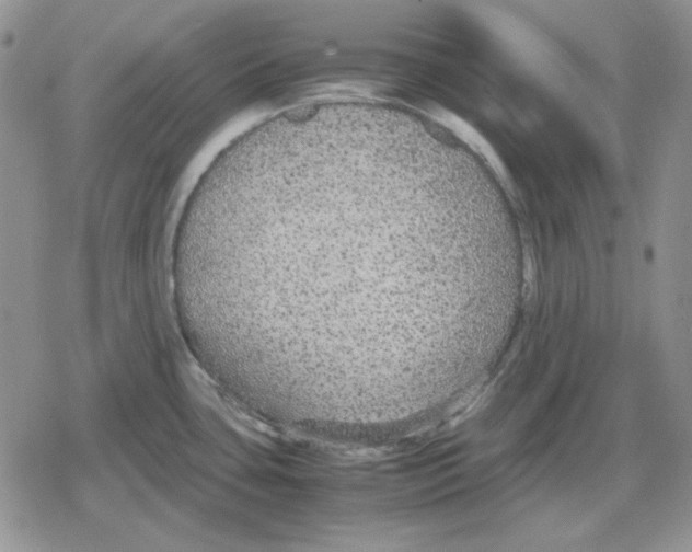 X0000079321435200612151806