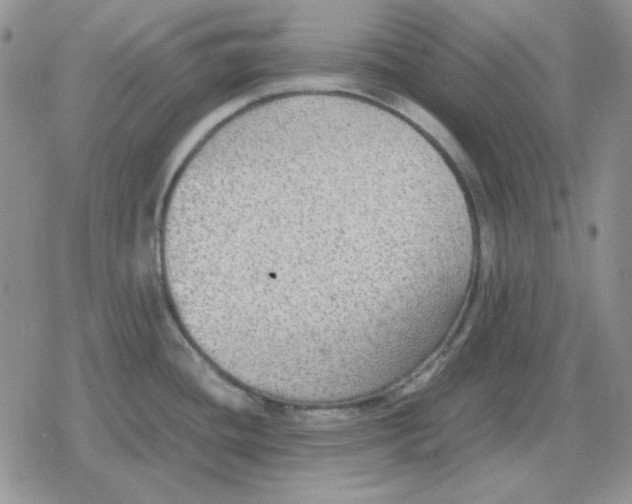 X0000079321436200612151806