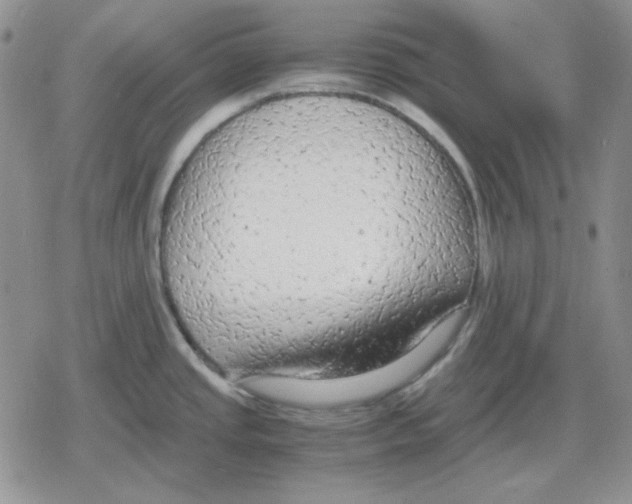 X0000079321437200612151806