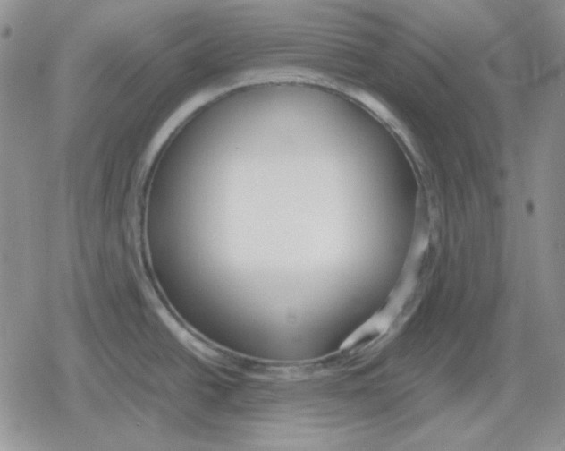 X0000079321438200612151806