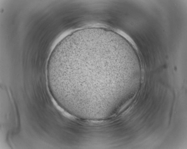 X0000079321439200612151806