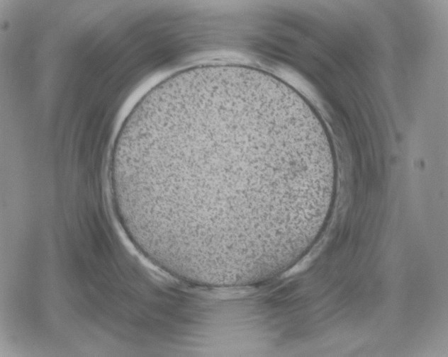 X0000079321440200612151806