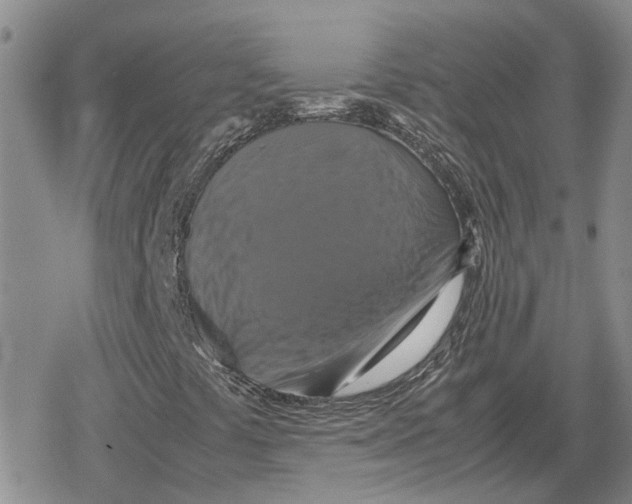 X0000079321441200612151805