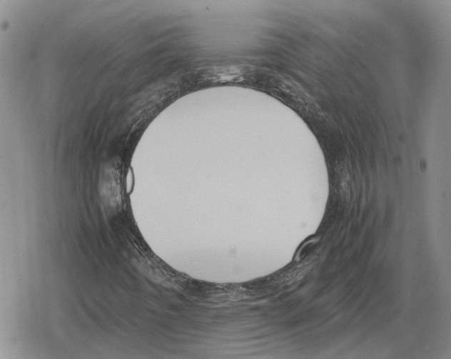 X0000079321442200612151805