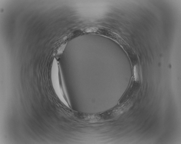 X0000079321443200612151805