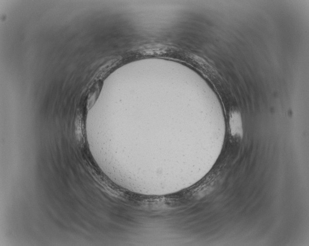 X0000079321444200612151805