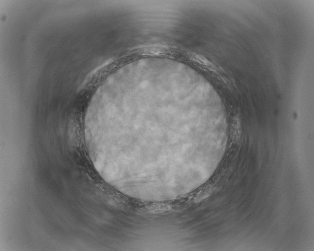 X0000079321446200612151805