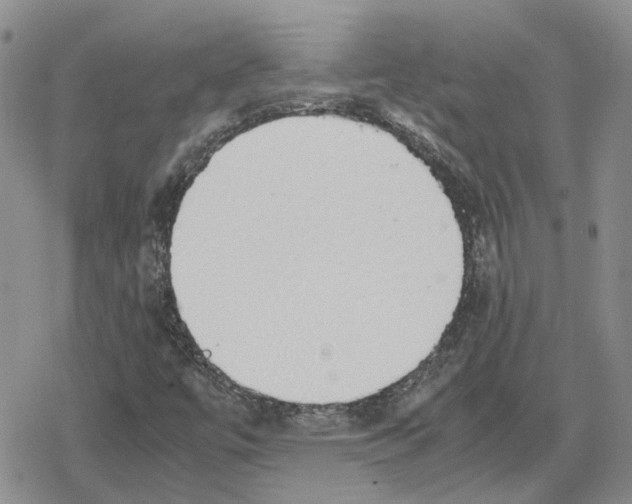 X0000079321447200612151805