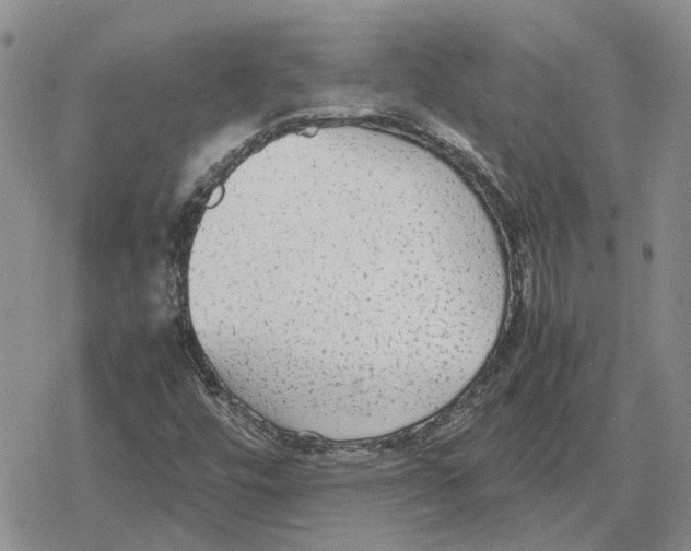 X0000079321448200612151805